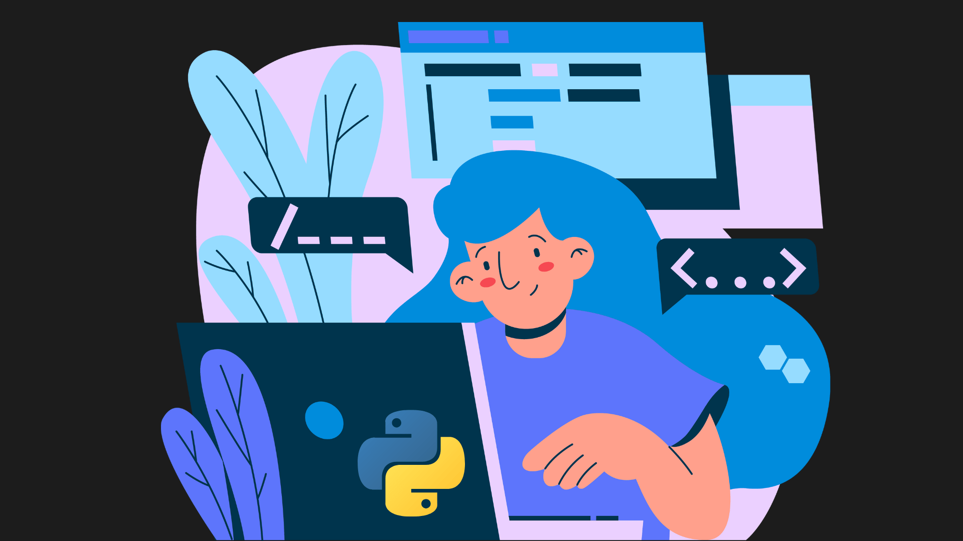 python developer